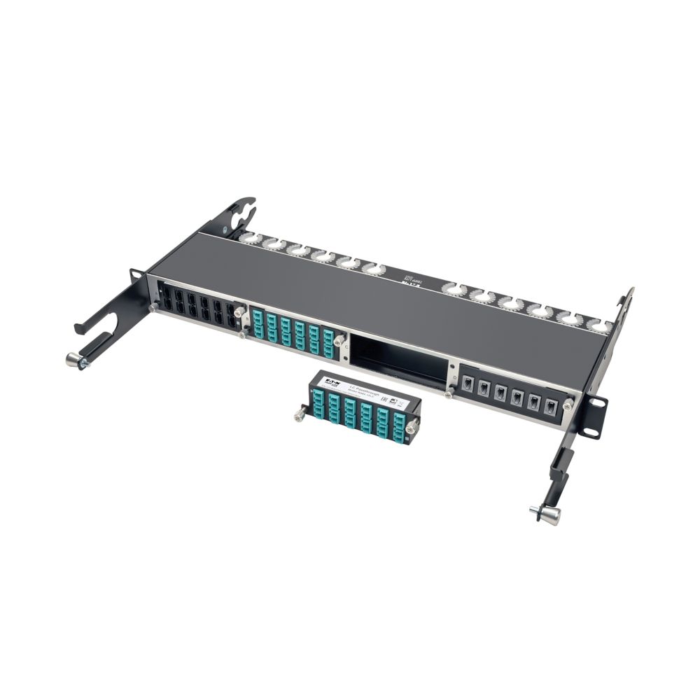 Tripp Lite series 10GbE Pass-Through Cassette - (x12) LC Duplex - High Density F