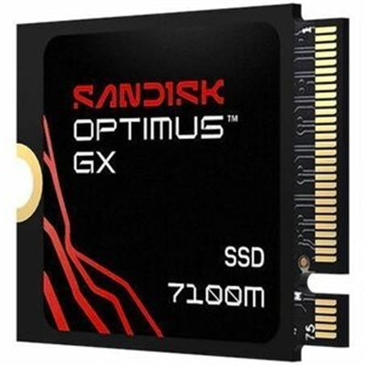 SANDISK OPTIMUS GX 7100M PCIE-G4 2TB M2