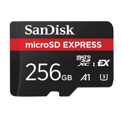 SANDISK 256GB1 Sandisk GamePlay microSD Express Card