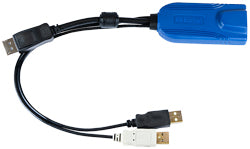 RARITAN COMPUTER D2CIM-DVUSB - Computer Interface Modules - USB, VGA - For Use W