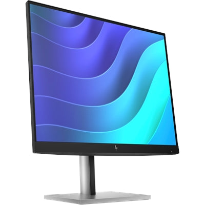 HP E22 G5 FHD Monitor U.S. - English localization