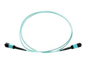Axiom MPO Male to MPO Male Multimode OM4 50/125 Fiber Optic Cable - 25m