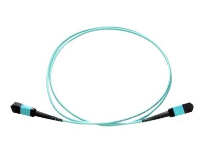 Axiom MPO Male to MPO Male Multimode OM4 50/125 Fiber Optic Cable - 25m