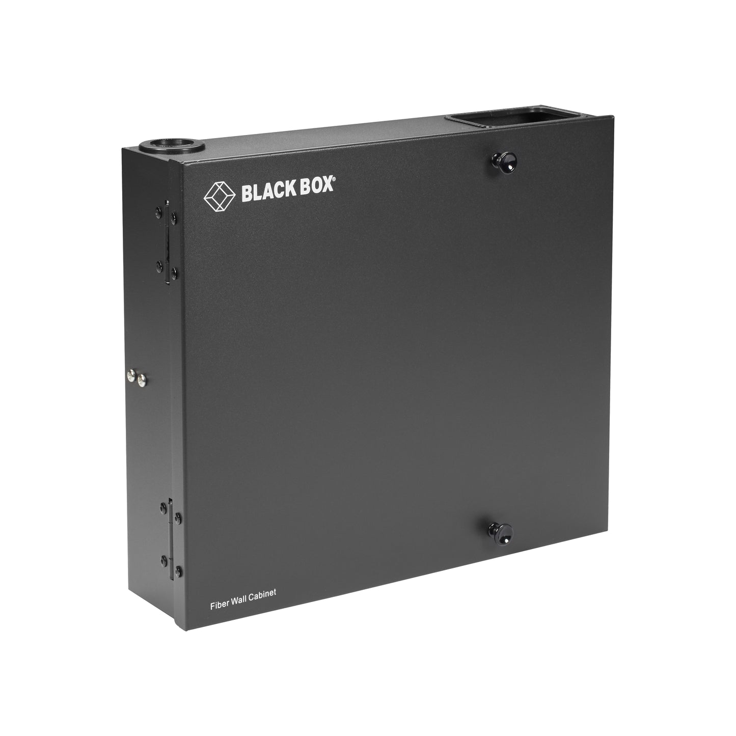 Fiber Wall Cabinet, Open-Style, Unloaded, Accepts 4 Adapter Panels