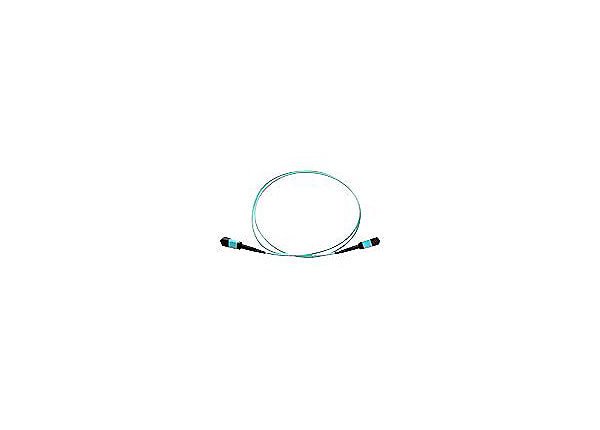 Axiom MPO Male to MPO Male Multimode OM4 50/125 Fiber Optic Cable - 2m