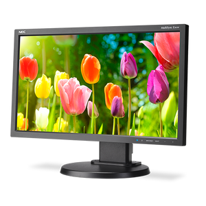 20 inch Eco-Friendly Widescreen Desktop Monitor