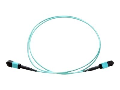 Axiom MPO Male/MPO Male Multimode OM3 50/125 Fiber Optic Cable - 20m