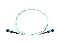 Axiom MPO Male/MPO Male Multimode OM3 50/125 Fiber Optic Cable - 4m
