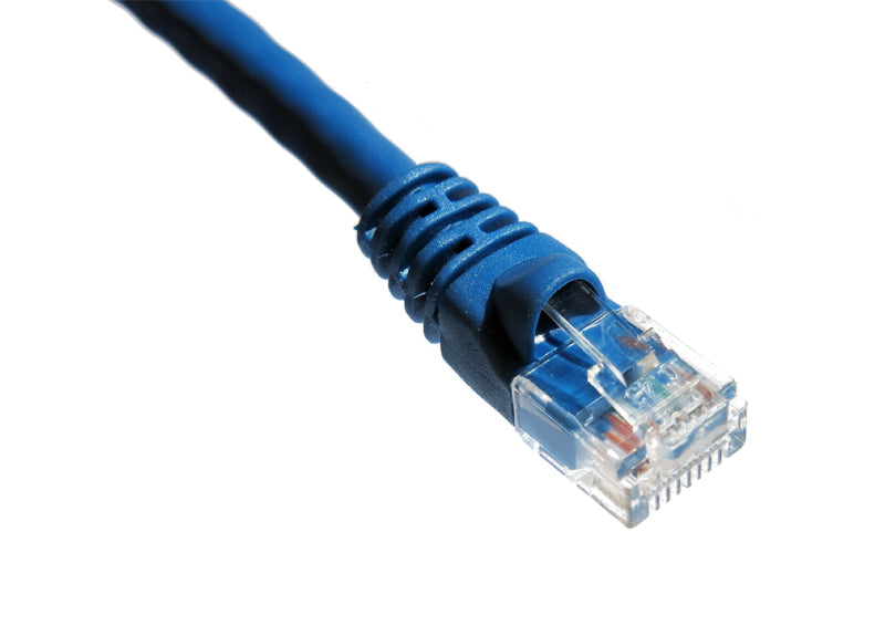 Axiom 100FT CAT6A 650mhz Patch Cable Molded Boot (Blue)