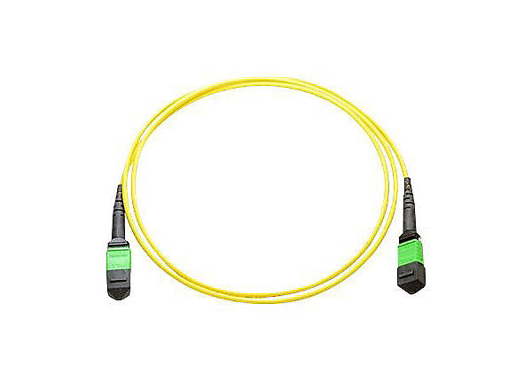 Axiom MPO Male to MPO Male Singlemode 9/125 Fiber Optic Cable - 3m